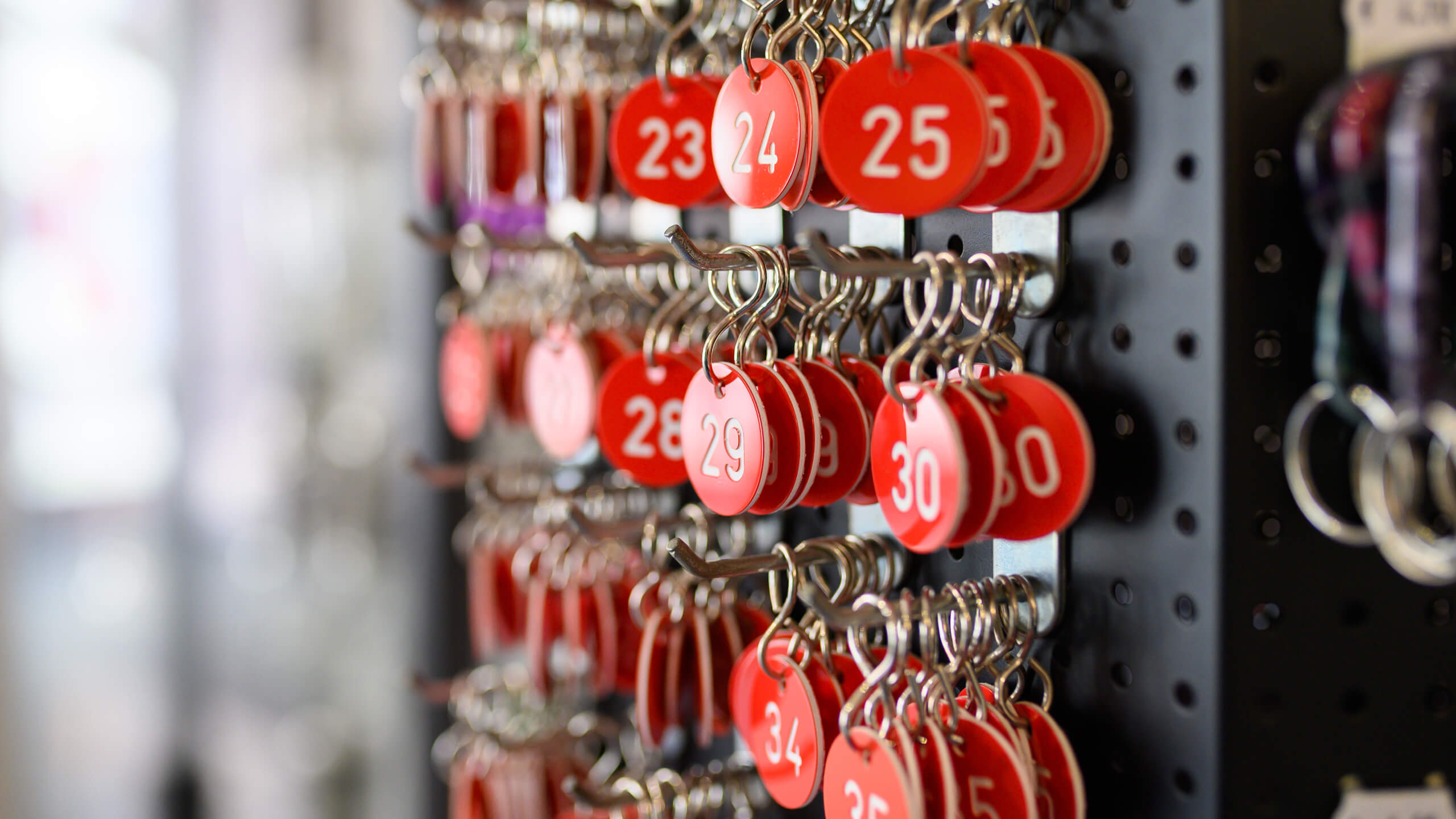 Erfahrung von mehr als 30 Jahren